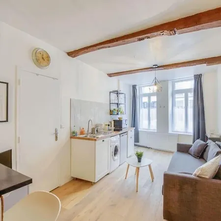 Vieux-lille Bel Moderne Avec Souplex Apartamento Lila