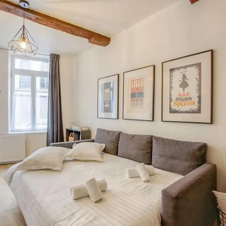 Vieux-lille Bel Moderne Avec Souplex Apartamento *