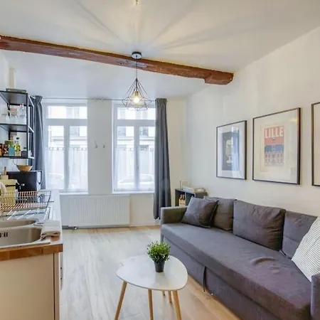 Vieux-lille Bel Moderne Avec Souplex Lejlighed Lille